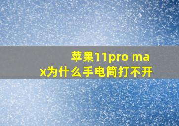 苹果11pro max为什么手电筒打不开